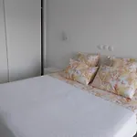 White Light Terrace Flat